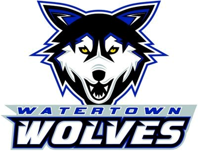 Watertown Wolves 2014-Pres Primary Logo iron on heat transfer
